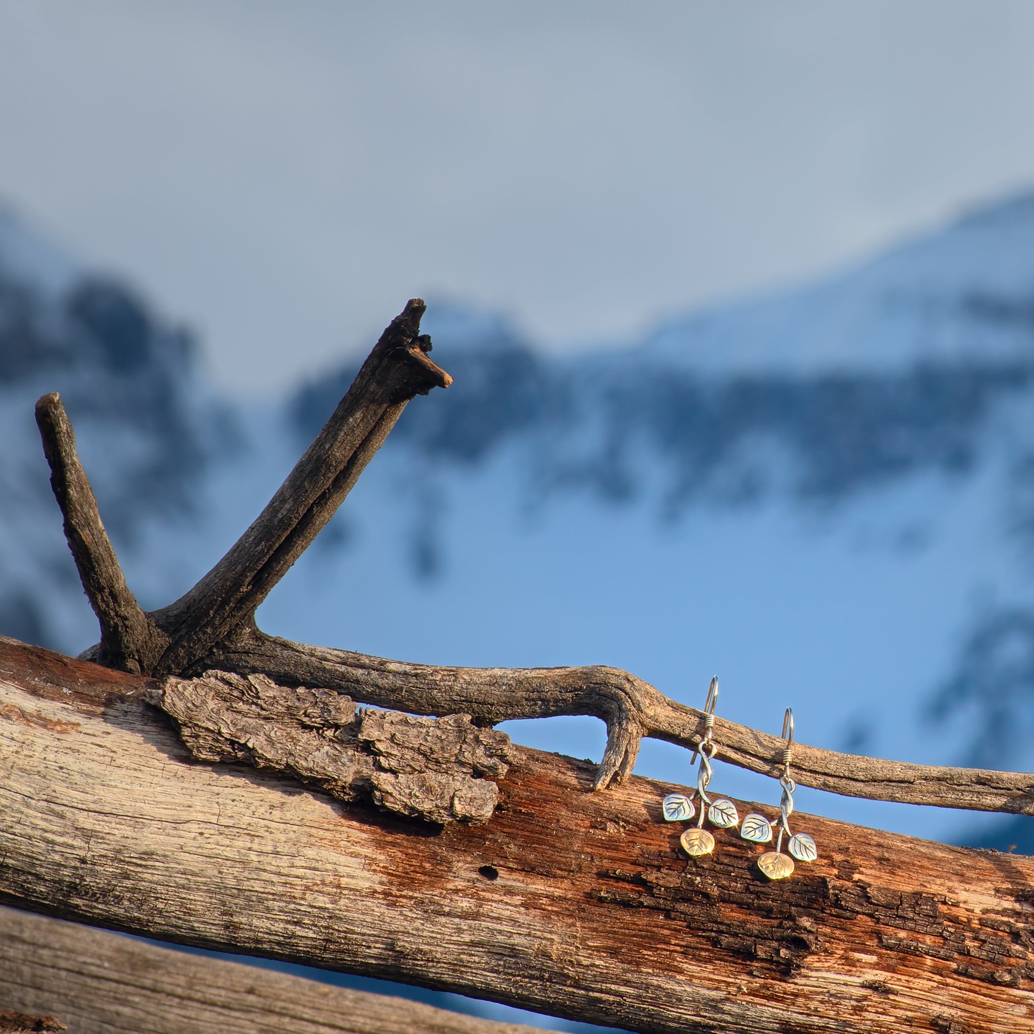 Three Leaf Aspen Drops - Image 7