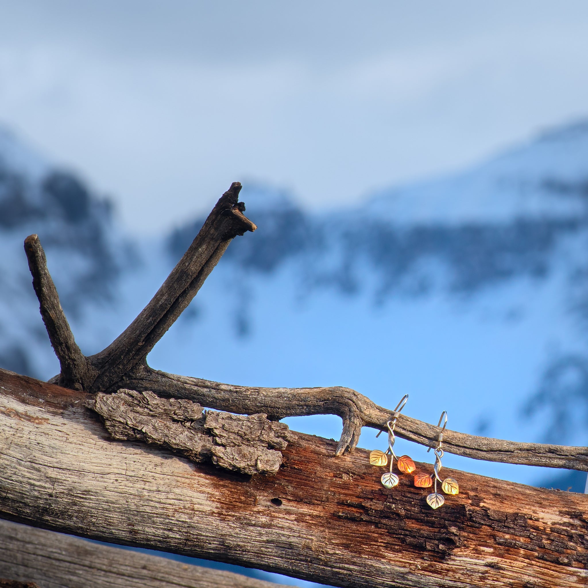 Three Leaf Aspen Drops - Image 6
