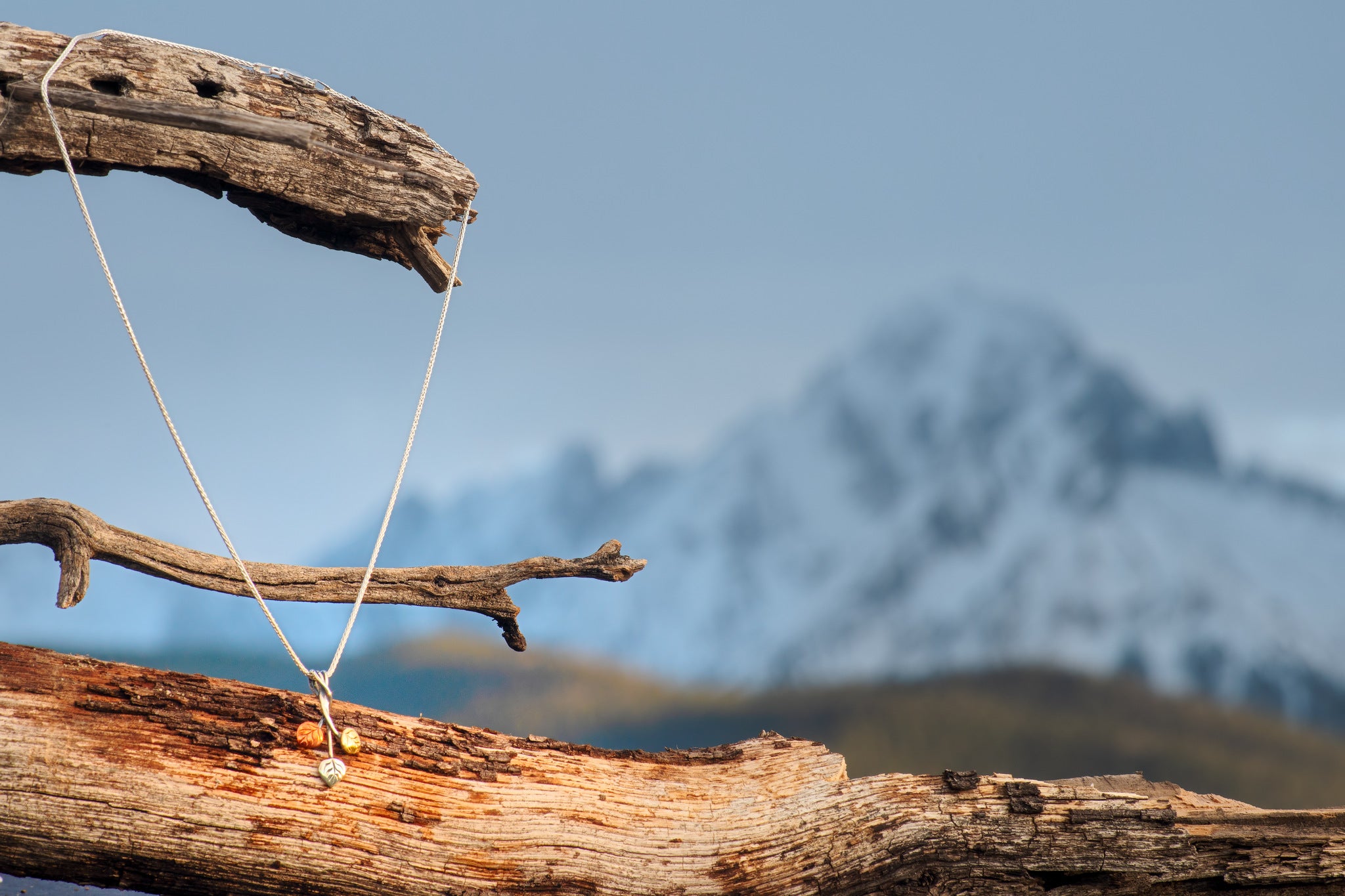 Three Leaf Aspen Pendant - Image 2